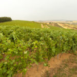 0070_RS_Carastelec_large-IMG_3351