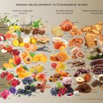 Champange aroma OPiA