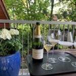 OPiA Glasses for Champagne